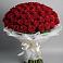 Букет 101 Красная роза Блэк Мэджик в Пангодах
