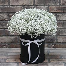 Цветочная композиция из Гипсофила в шляпной коробке #REPLACE_PRED# Пангодах