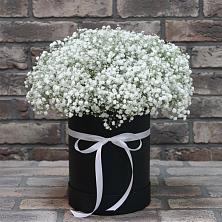 Цветочная композиция из Гипсофила в шляпной коробке в Пангодах