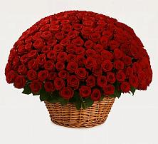 Премиум букет из: Розы в Пангодах