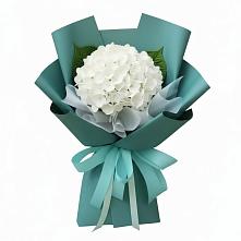 Букет цветов из:  Гортензия в Пангодах